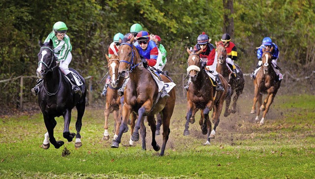 Am Sonntag ist die wunderschne Waldre...ienheim Schauplatz von Pferderennen.   | Foto: Archivfoto: Andreas Gauch/Veranstalter