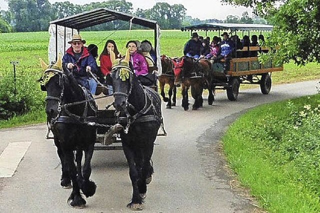 Mit Pferdewagen durchs Elsass: Landfrauen aus Ichenheim   | Foto: d. fink