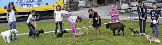 Groe Kinder, kleine Hunde &#8211; gro...ehundeschau gab&#8217;s auch Auslauf.   | Foto: zvg