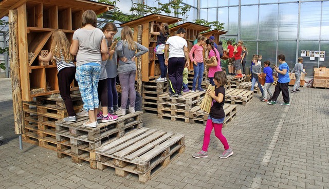 Vier Insektenhotels wurden im Europa-Park gebaut.   | Foto: Klaus Fischer