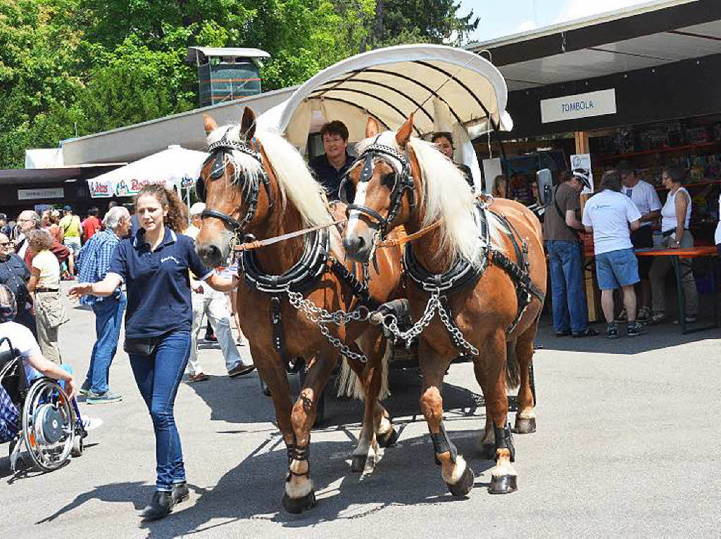 Impressionen vom Sommerfest