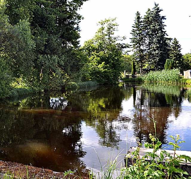 Der ehemalige Mhlenweiher verliert  Wasser.   | Foto: L. Schilling