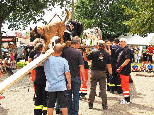 Mit Rettungsszenarien machten die Feue...ihre vielfltigen Aufgaben aufmerksam.  | Foto: Jutta Schtz