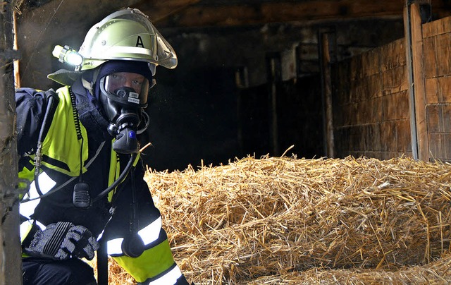 Ein Inzlinger Feuerwehrmann wirft einen prfenden Blick in den Stall.  | Foto: Peter Gerigk