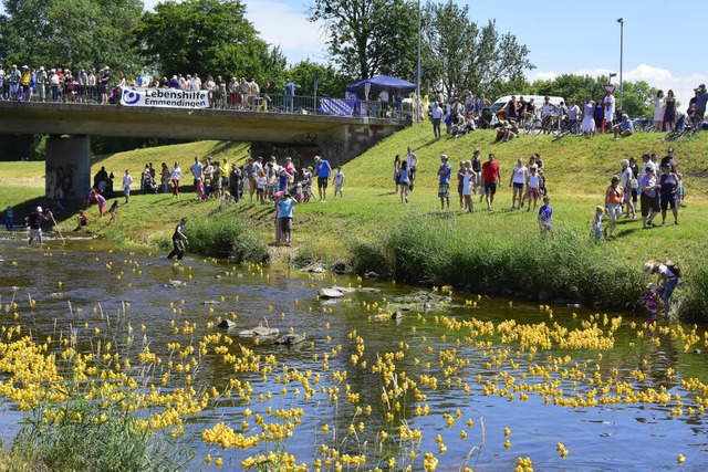 Alle meine Entchen schwimmen in der Elz<ppp></ppp>  | Foto: Dieter Erggelet