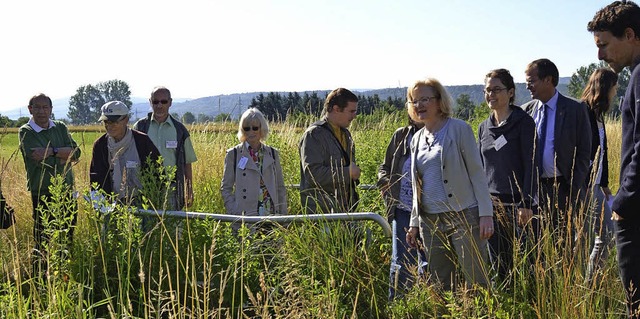 Erste Verbindungen fr einen grenzber...Naturkorridor sind geschaffen worden.   | Foto: ZVG