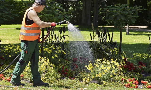 Bei den hochsommerlichen Temperaturen ... und Pflanzen in der Stadt zu gieen.   | Foto: Jochen Fillisch