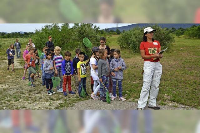 Grnes mit Zukunft macht Eindruck