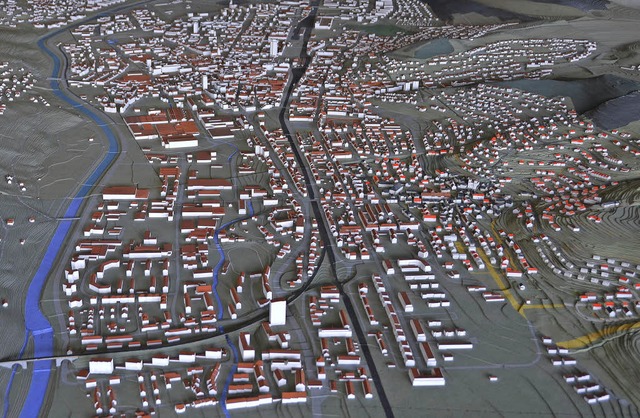 Wie sich das Modell der Stadt Lrrach ...lke haben die Verwaltung modifiziert.   | Foto: Nikolaus Trenz