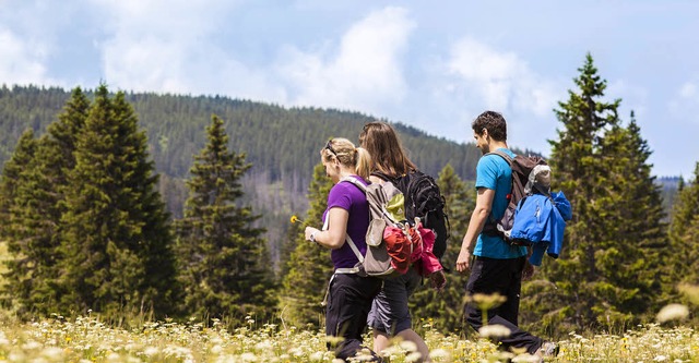 Wandern in den Hhen des Hochschwarzwaldes soll Touristen anlocken.  | Foto: Hochschwarzwald Tourismus GmbH