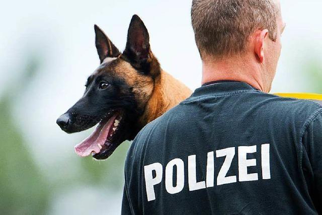 Schmerzensgeld nach Attacke durch Polizeihund