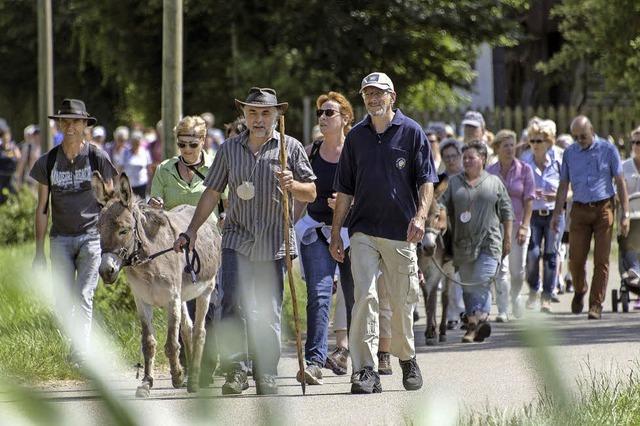 Immer der Muschel nach