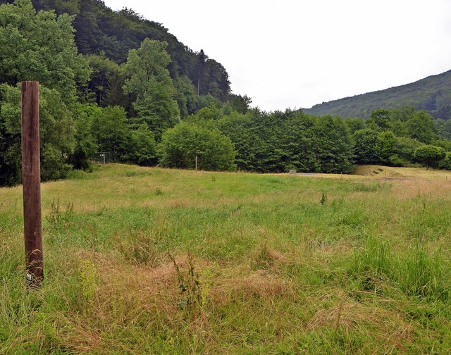Zehn Hektar gro ist das Weideland oberhalb des Hagebachs.  | Foto: Ingrid Bhm-Jacob