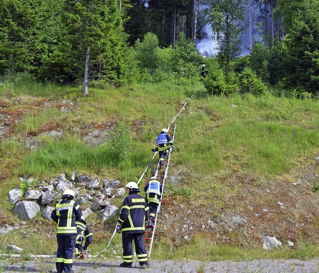 Das steile Gelnde berwand die Feuerwehr mit Leitern.  | Foto: Kamera 24