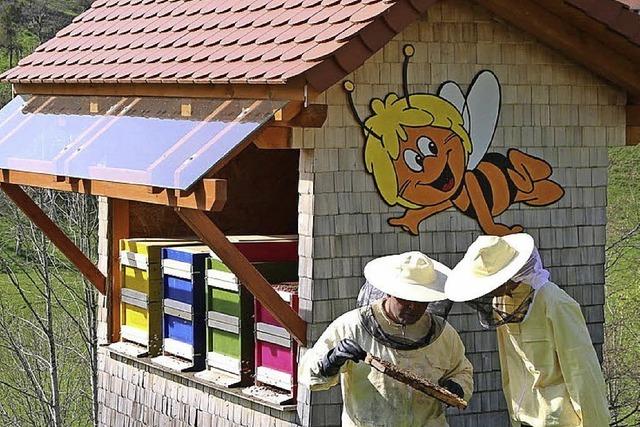 Wie bleiben Bienen vital?