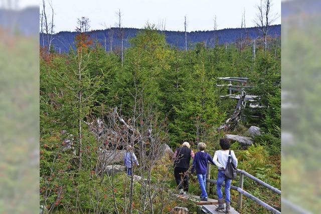 Brger finden Nationalpark Nordschwarzwald gut