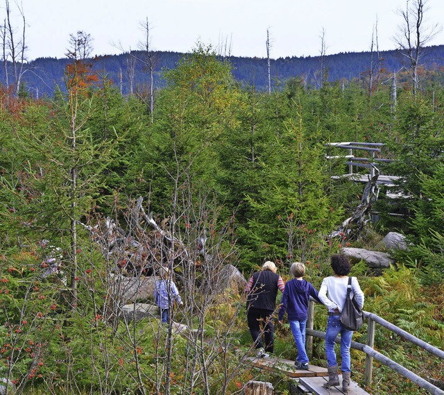 Beliebt, aber noch nicht stark besucht...ionalpark im nrdlichen Schwarzwald.    | Foto: dpa