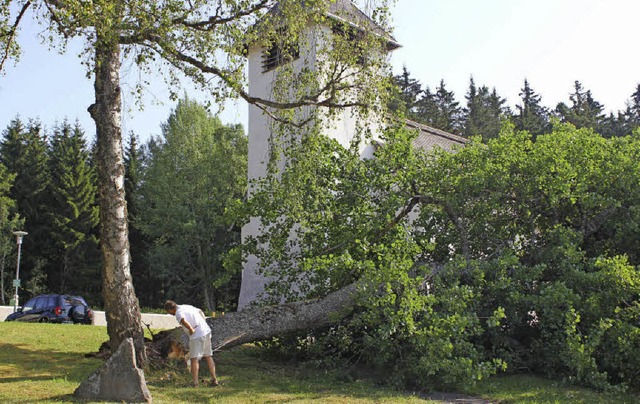   | Foto: Gert Brichta