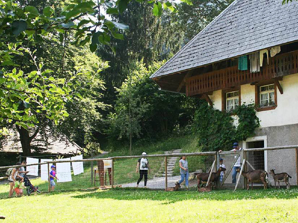 BZ-Familientag beim Schwarzwlder Freilichtmuseum Vogtsbauernhof in Gutach (Kinzigtal)
