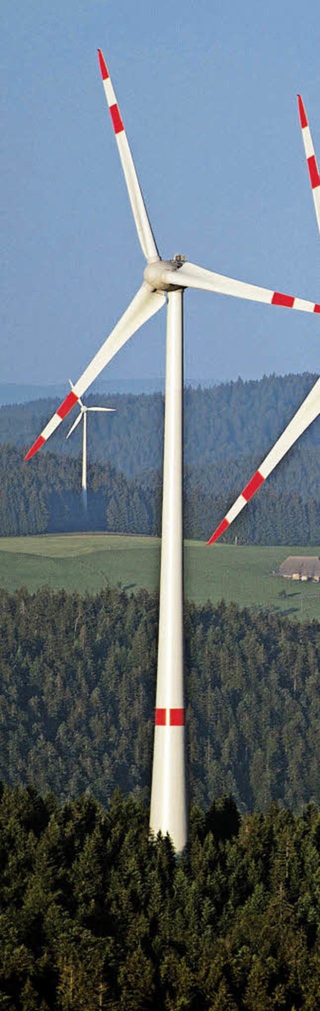 Windrder auf der Platte am Kandel. Hi...ahren diverse Anlagen  gebaut worden.   | Foto: dpa