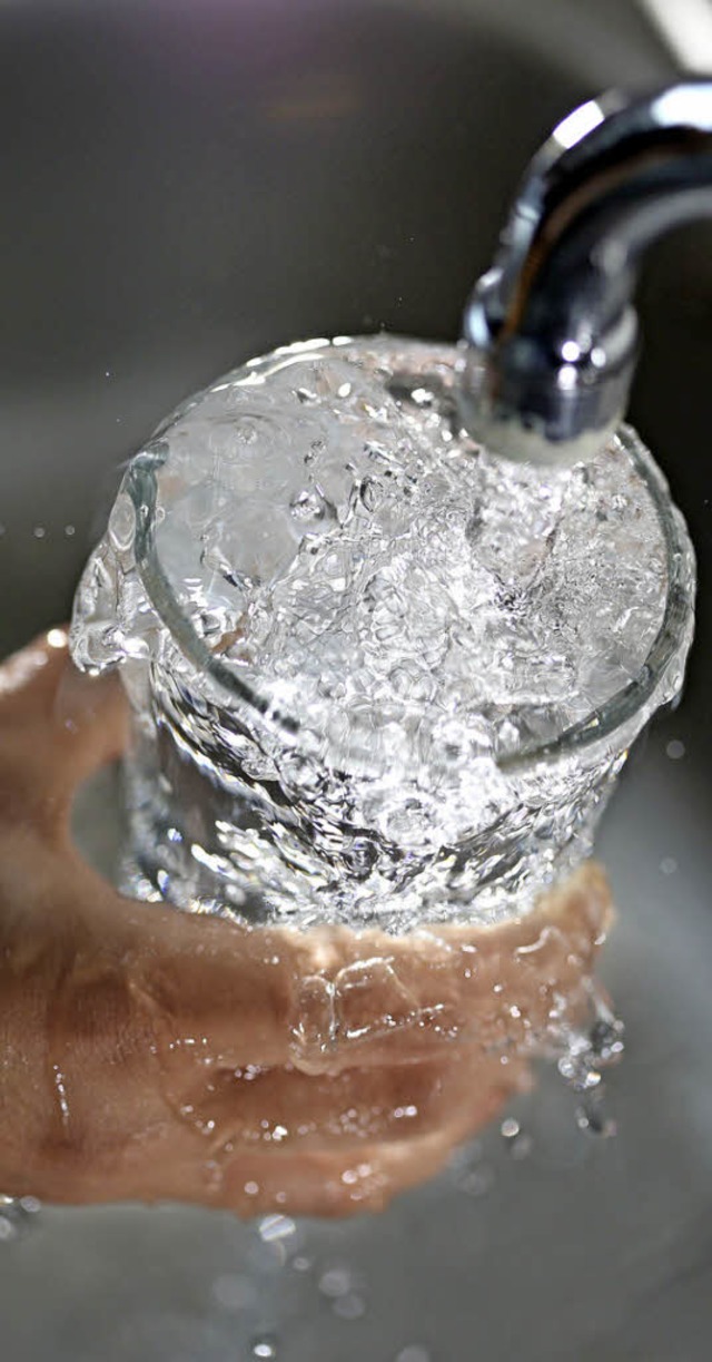 Der Zweckverband will mehr Trinkwasser...m Tiefbrunnen in Steinenstadt frdern.  | Foto: dpa