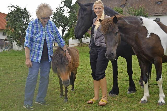 Alle Ponys finden ein neues Zuhause