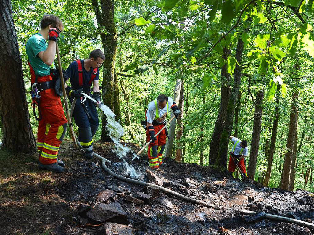 Die Freiwillige Feuerwehr Bad Sckingen musste einen Waldbrand zwischen Obersckingen und Harpolingen lschen.