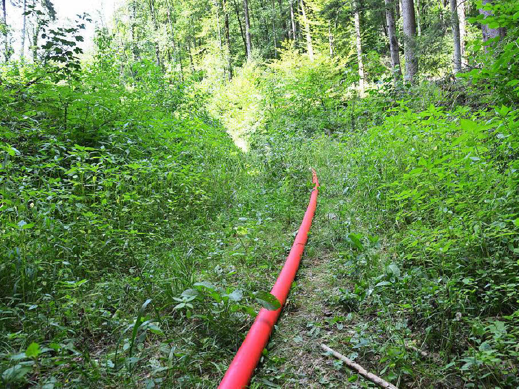 Die Freiwillige Feuerwehr Bad Sckingen musste einen Waldbrand zwischen Obersckingen und Harpolingen lschen.