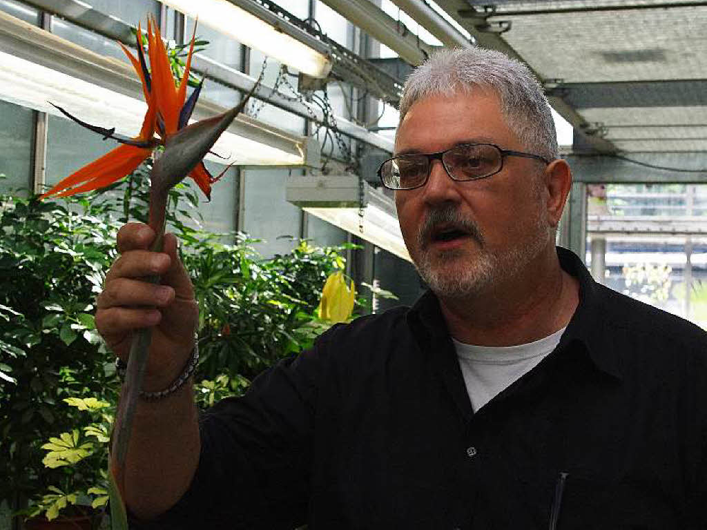 Thomas Speck zeigte den Kindern die Blte der Paradiesvogelblume.