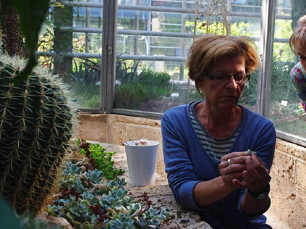 Heidi Petarus, Technische Leiterin und Leitende Grtnermeisterin des Botanischen Gartens, fhrte die Klasse durch die Gewchshuser – und durch verschiedene Klimazonen.