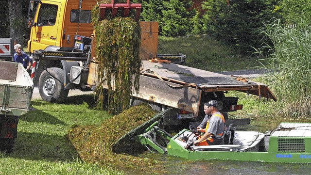 Am Donnerstag fand zur Eindmmmung des...zer Weiher wieder eine Mhaktion statt  | Foto: Karin Stckl-Steinebrunner