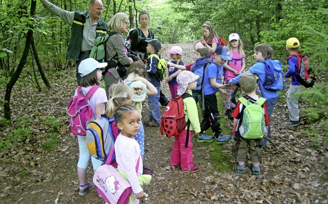 Bei den Waldtagen des Kindergartens Ad...m mit dem Frster die Natur erkundet.   | Foto: Fabry