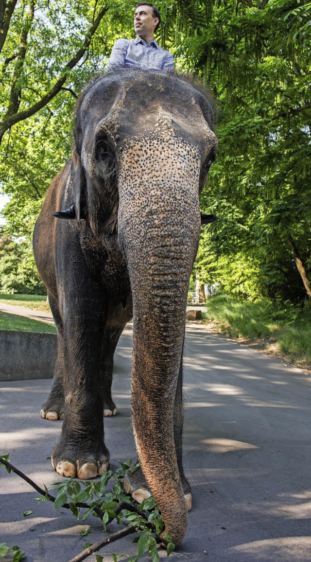 Schmid hoch zu Elefant  | Foto: dpa