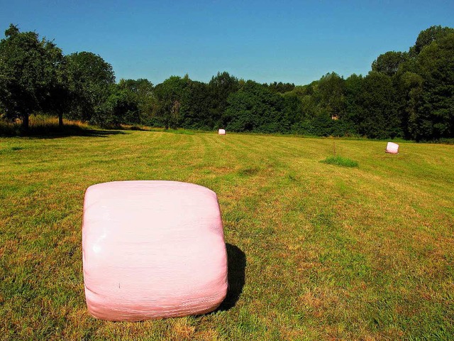 Die rosa Ballen sind nicht nur ein Hin...erksam machen: die Brustkrebsvorsorge.  | Foto: Jutta Schtz