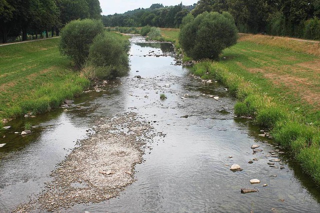 Wassermangel in der Elz: Das hat nun Konsequenzen.  | Foto: Landratsamt Emmendingen  Luca Benedikt