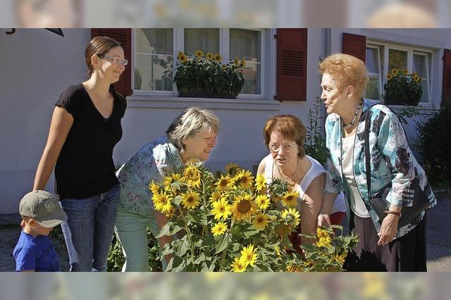 In Minseln geht die Sonne auf