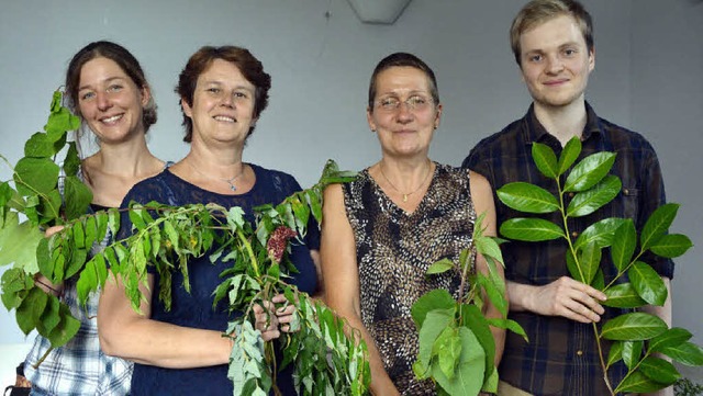 Isabell Szabo, Britta Staub-Abt, Ilse ... und Thilo Baumgartner mit Neophyten.   | Foto: Barbara Ruda