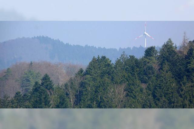 Windpark erhält eine zweite Chance