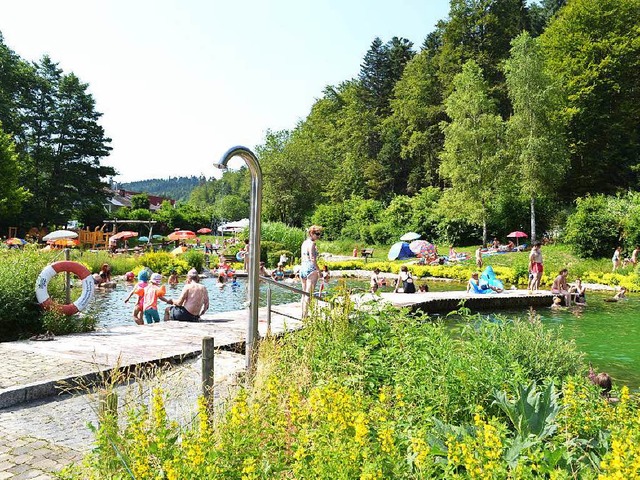 hnlich wie der Naturena Badesee  in B...r Umwandlung in ein Naturbad aussehen.  | Foto: Liane Schilling