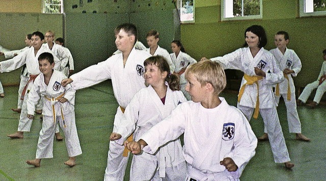 Trainingsnacht Asien-Budo-Club Laufenburg  | Foto: Zvg