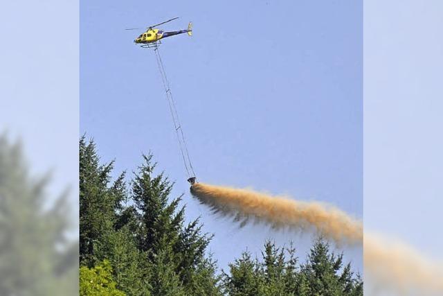 Mit Kalk gegen sauren Waldboden