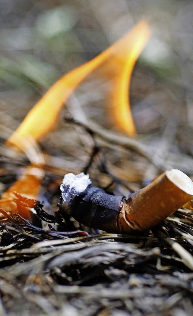 Von Mrz bis Oktober gilt im Wald ein Rauchverbot.   | Foto: dpa