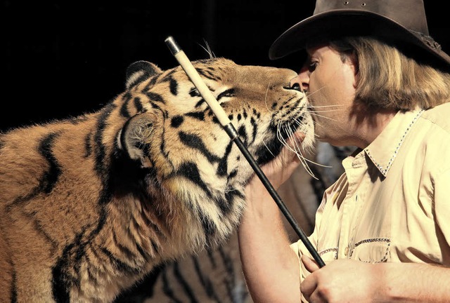 Der Auftritt der sibirischen Tiger ist... Programm des Circus&#8217; Weisheit.   | Foto: Circus