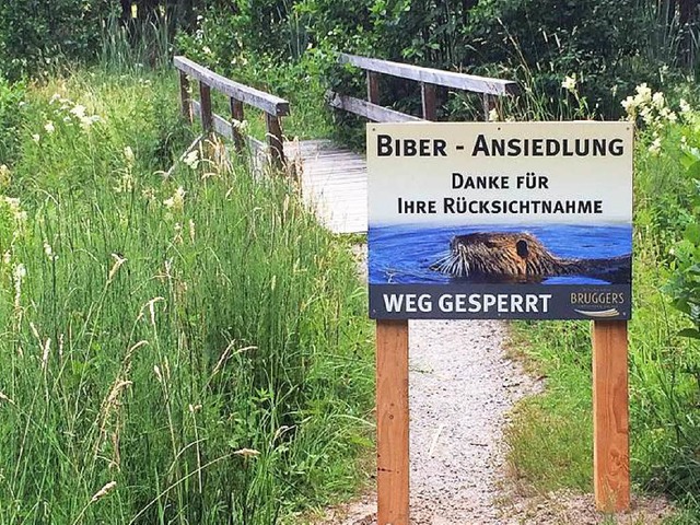 Diese Tafel wirbt um Verstndnis fr die Sperrung und um Rcksichtnahme.  | Foto: antje ganter