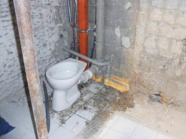 Verstndlich, dass die Mieter in Mllh...e solche Toilette nicht nutzen wollen.  | Foto: Alexander Huber