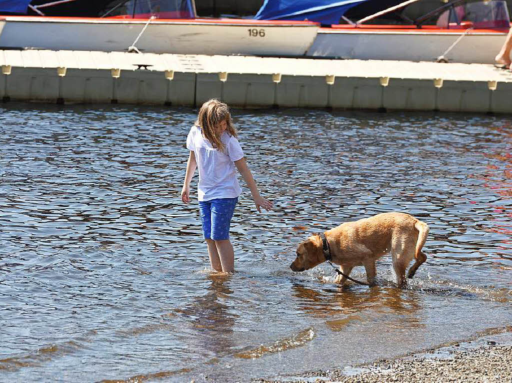 Eindrcke vom Seenachtsfest in Titisee.