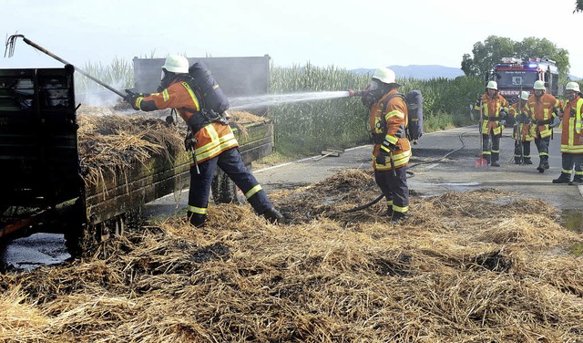 Wyhl.  Die Feuerwehrleute ziehen den Rest des abgeduschten Stroh vom Anhnger.  | Foto: Roland Vitt