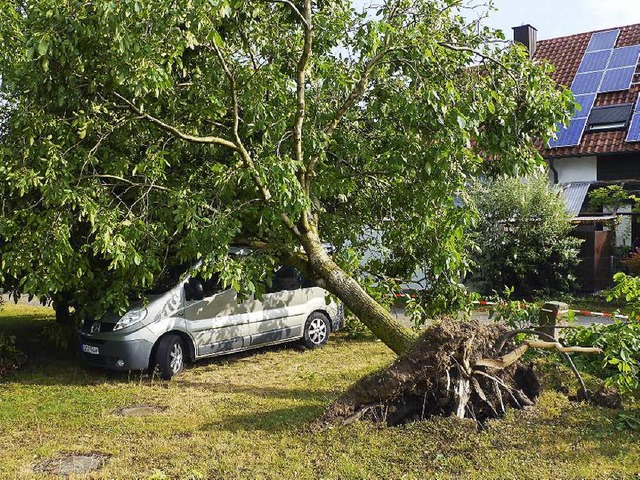 In Orschweier fiel ein Baum auf einen geparkten Wagen. Verletzt wurde niemand.  | Foto: wolfgang hoffmann