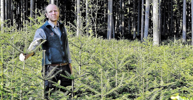 Jens Borchers, Leiter des FF-Forstbetr...gen verstrkter Rehwildjagd zufrieden.  | Foto: Beathalter