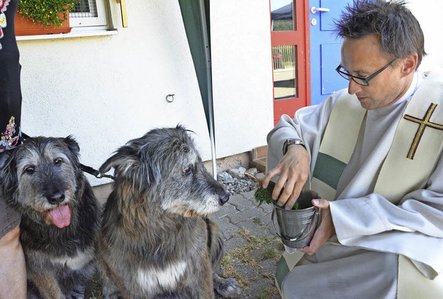 Die Hunde lieen sich gerne von Pfarrer Armin Strenzl mit Weihwasser segnen  | Foto: Danielle Hirschberger